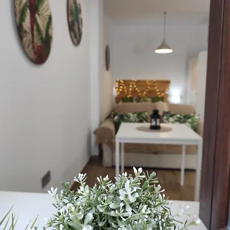 Loft Tulipanes Amarillos Junto A La Mezquita * Córdoba